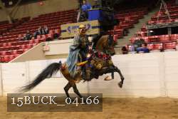 15BUCK_04166 proof
