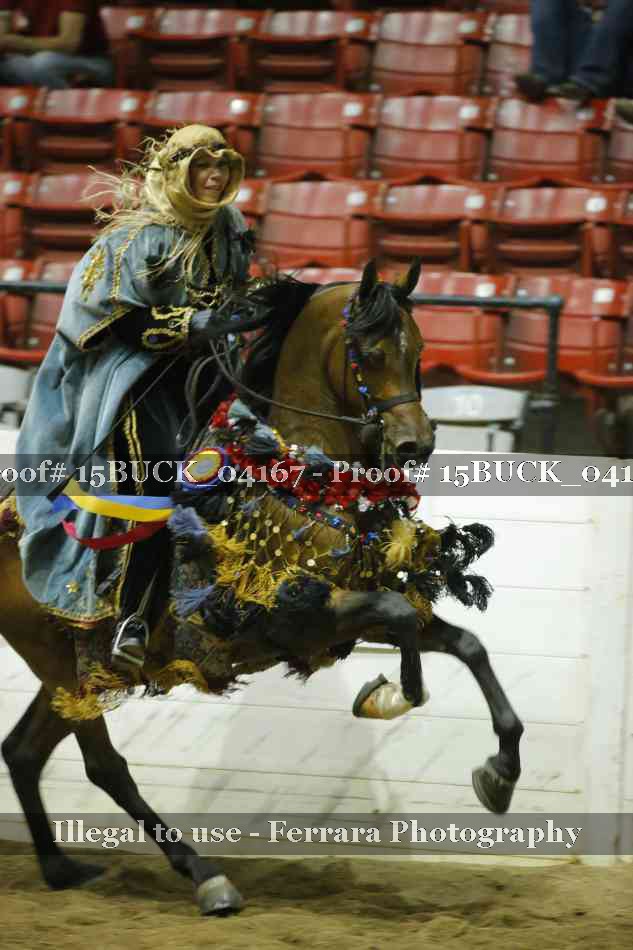 Proof 15BUCK_04167
