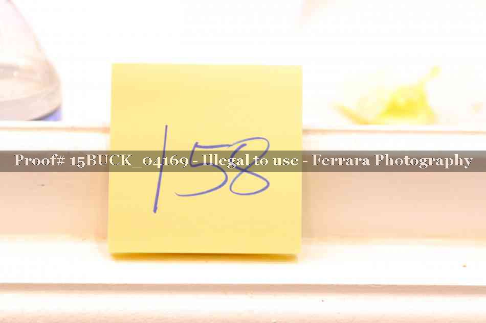 Proof 15BUCK_04169