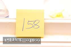 15BUCK_04169 proof