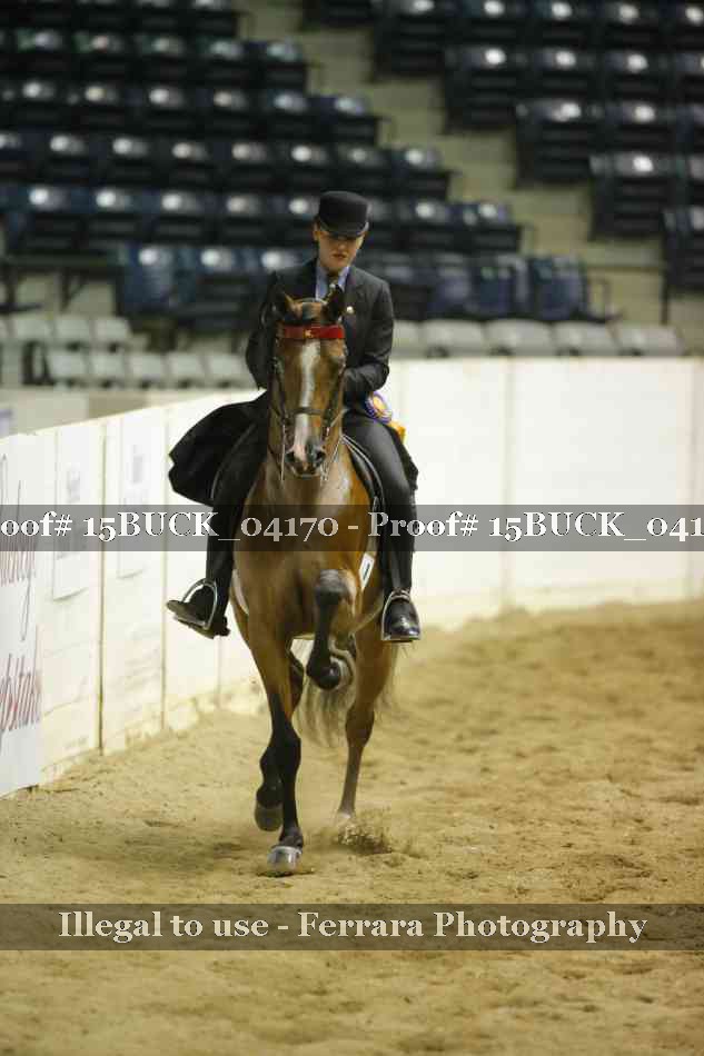Proof 15BUCK_04170