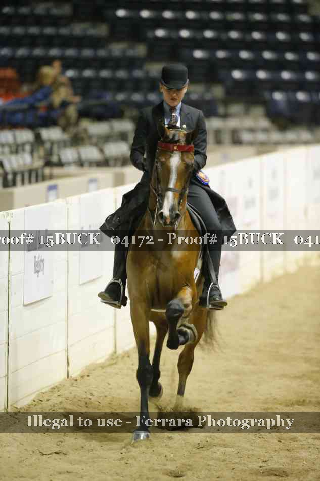 Proof 15BUCK_04172