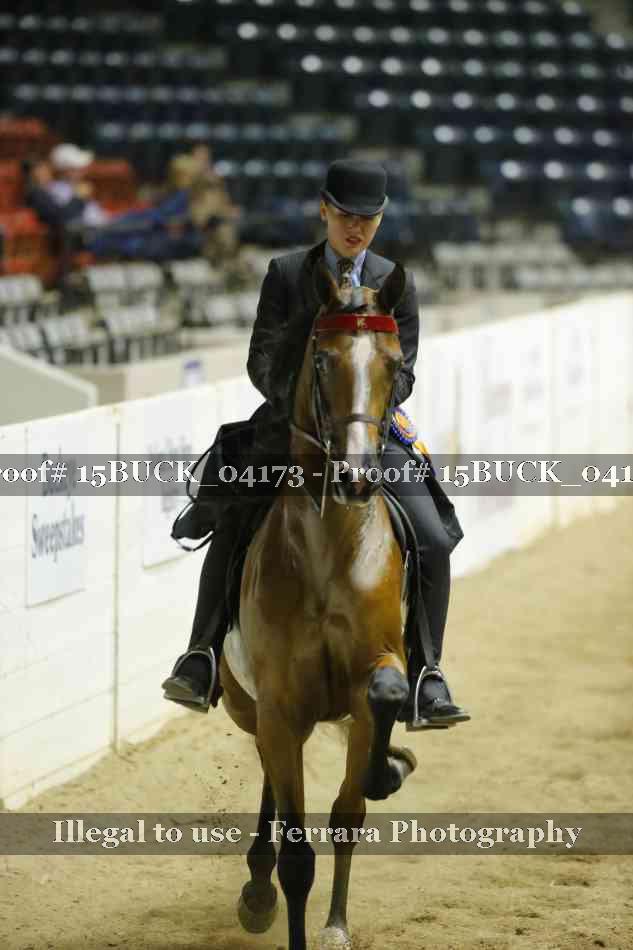Proof 15BUCK_04173