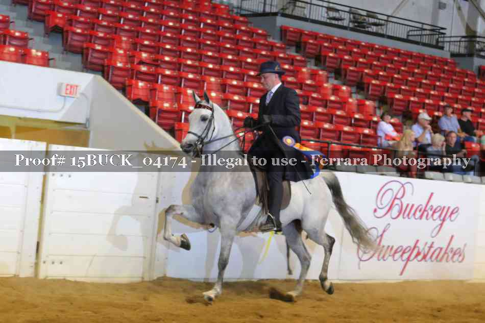 Proof 15BUCK_04174