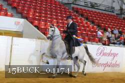 15BUCK_04174 proof