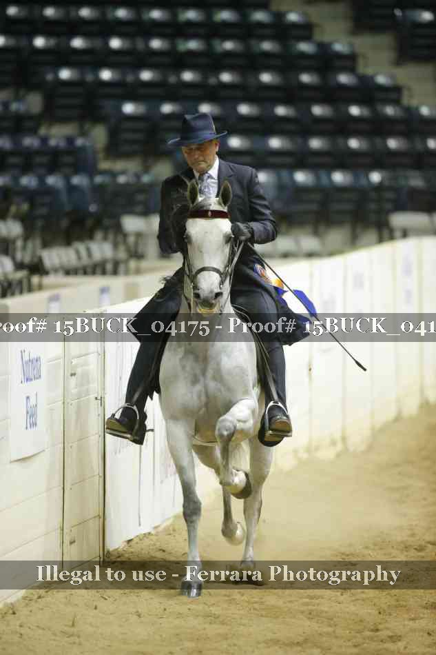 Proof 15BUCK_04175