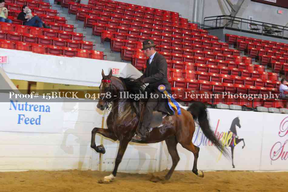 Proof 15BUCK_04178