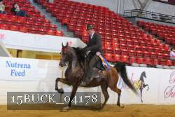 15BUCK_04178 proof