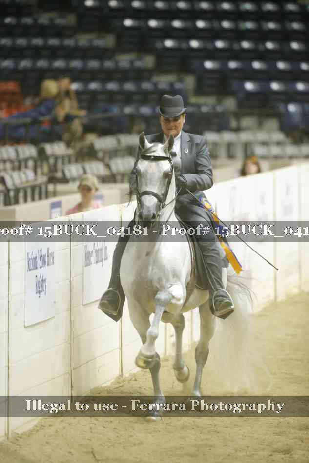 Proof 15BUCK_04181