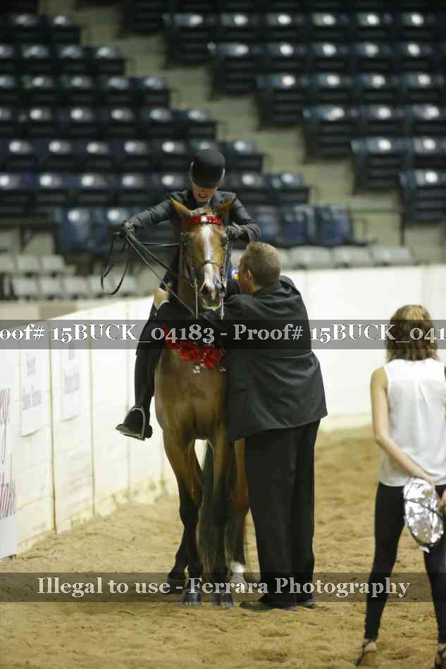 Proof 15BUCK_04183