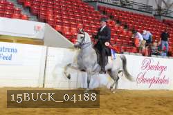 15BUCK_04188 proof