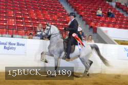 15BUCK_04189 proof