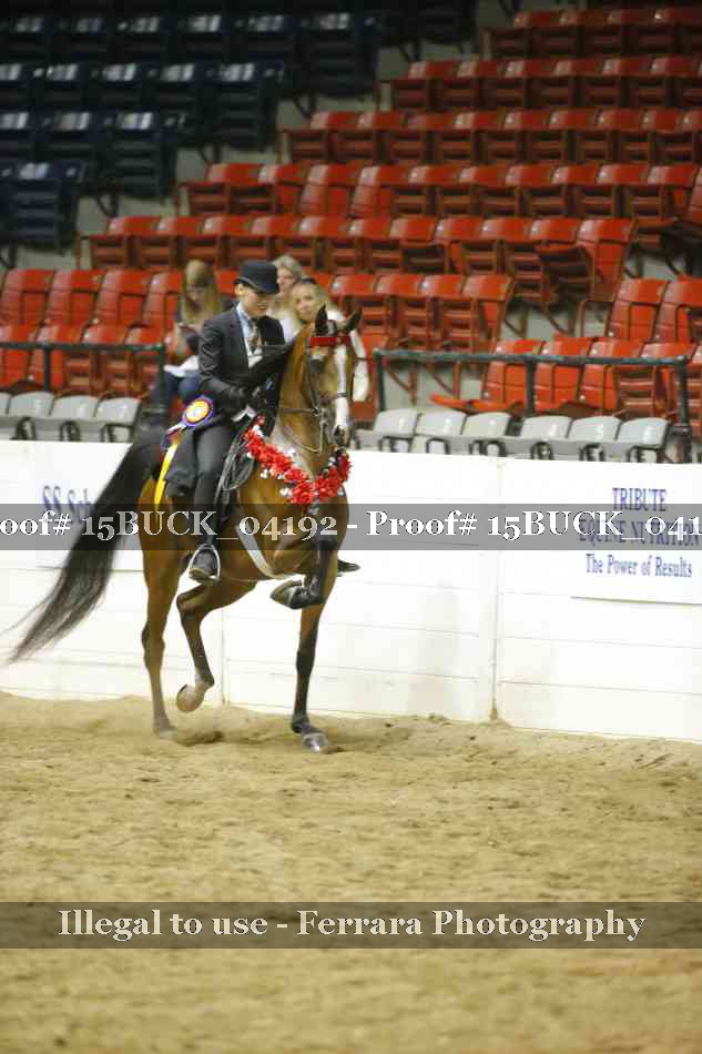 Proof 15BUCK_04192