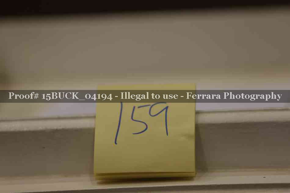 Proof 15BUCK_04194