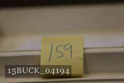 15BUCK_04194 proof