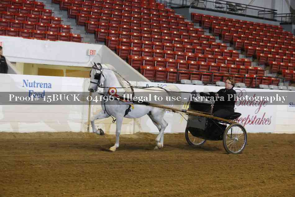Proof 15BUCK_04196
