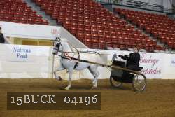 15BUCK_04196 proof