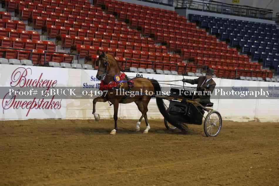 Proof 15BUCK_04197