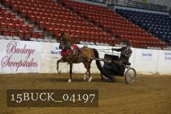 15BUCK_04197 proof