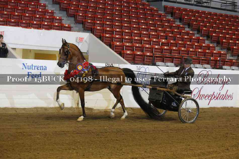 Proof 15BUCK_04198