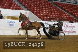 15BUCK_04198 proof