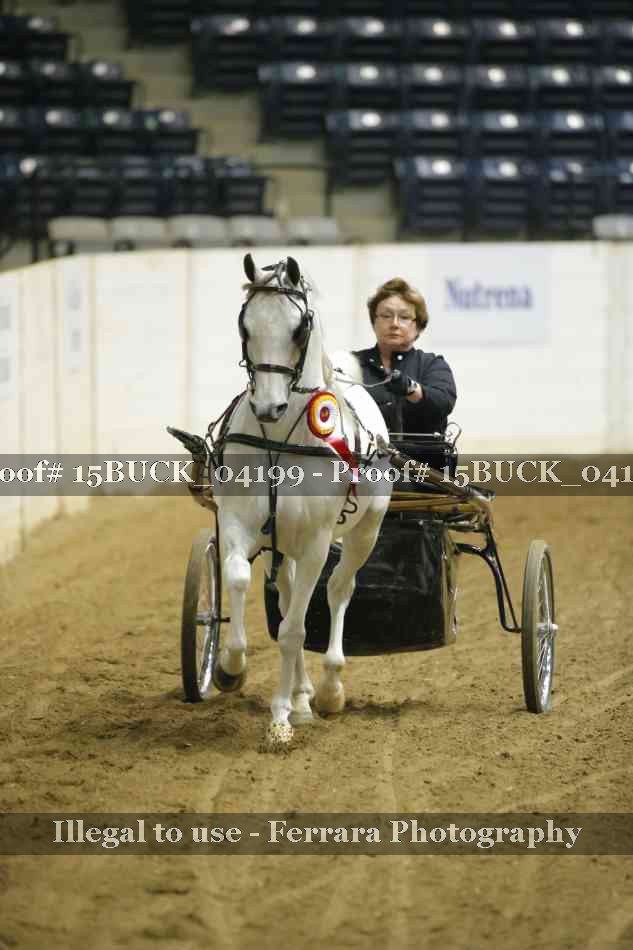 Proof 15BUCK_04199