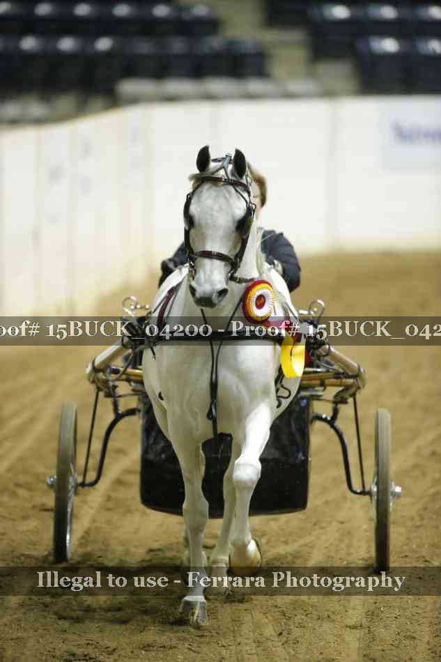 Proof 15BUCK_04200