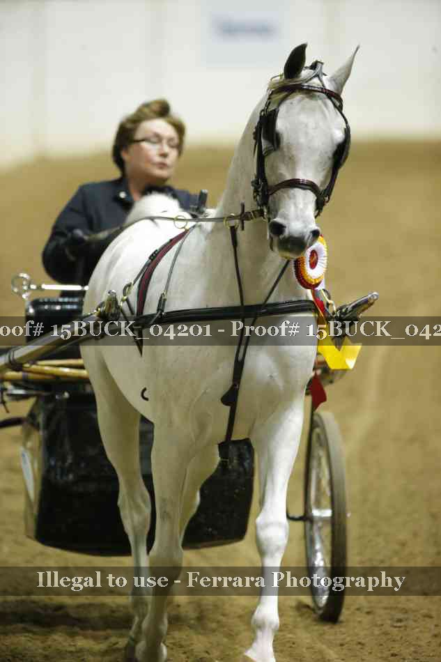 Proof 15BUCK_04201
