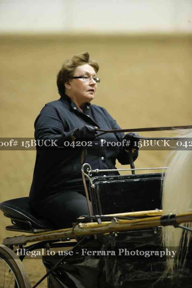 Proof 15BUCK_04202