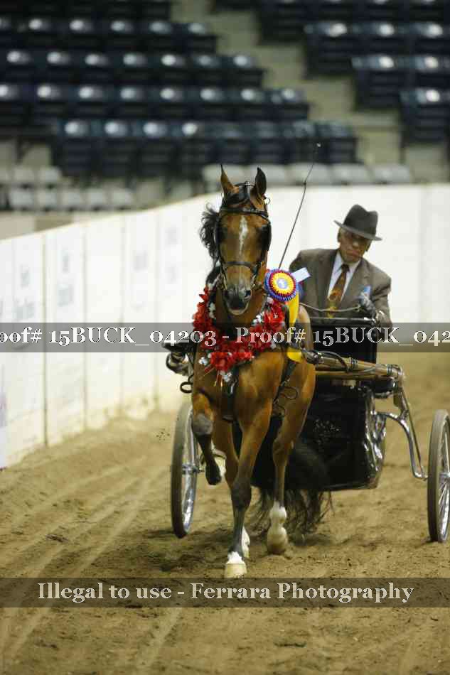 Proof 15BUCK_04203