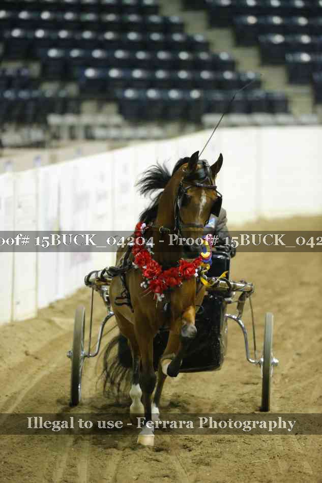 Proof 15BUCK_04204