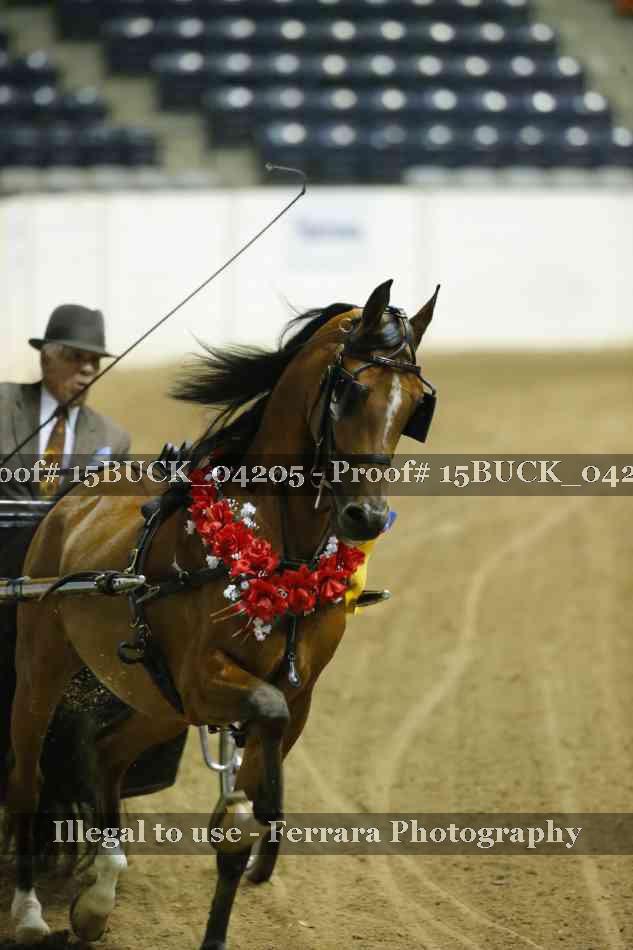 Proof 15BUCK_04205