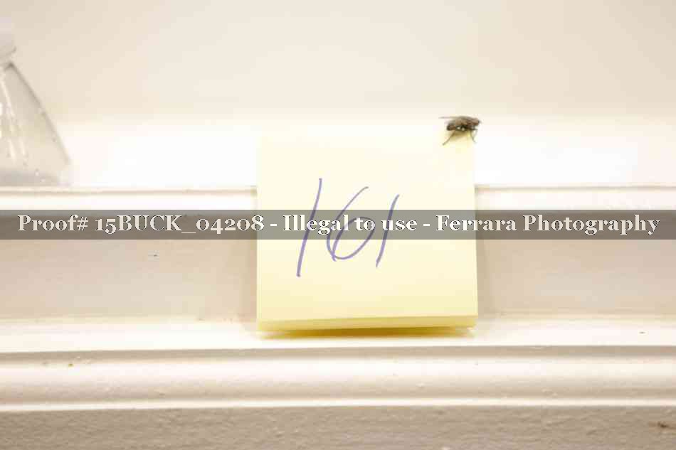 Proof 15BUCK_04208