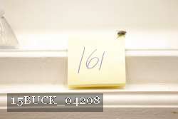 15BUCK_04208 proof