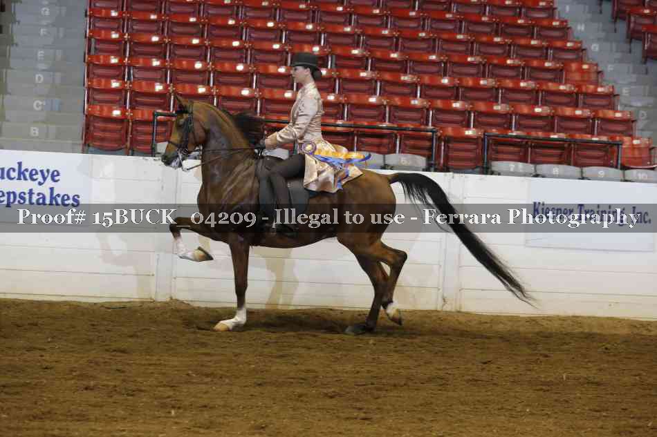 Proof 15BUCK_04209