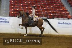 15BUCK_04209 proof