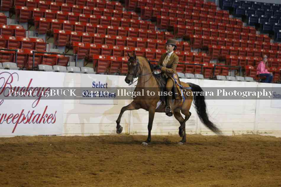 Proof 15BUCK_04210