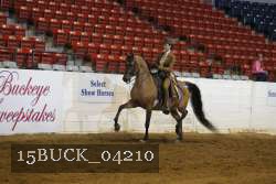 15BUCK_04210 proof