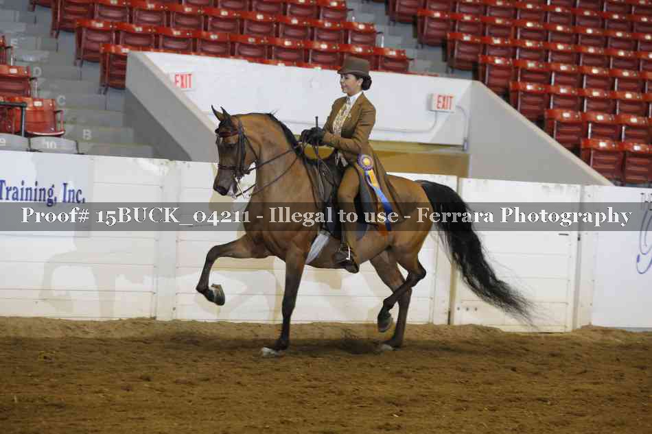 Proof 15BUCK_04211