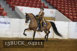 15BUCK_04211 proof