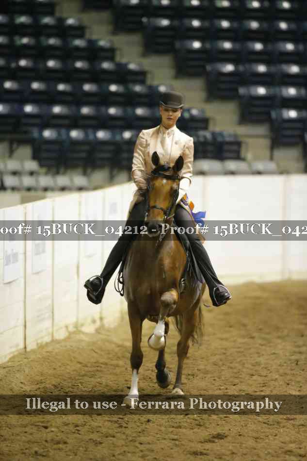 Proof 15BUCK_04212