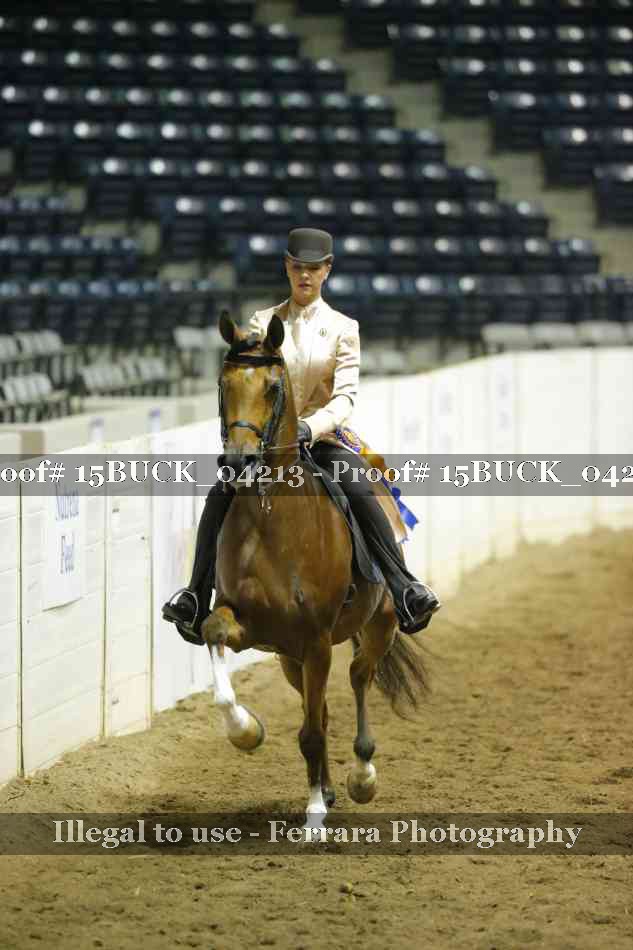 Proof 15BUCK_04213