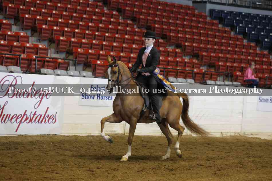 Proof 15BUCK_04215