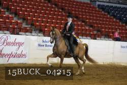 15BUCK_04215 proof