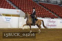 15BUCK_04216 proof