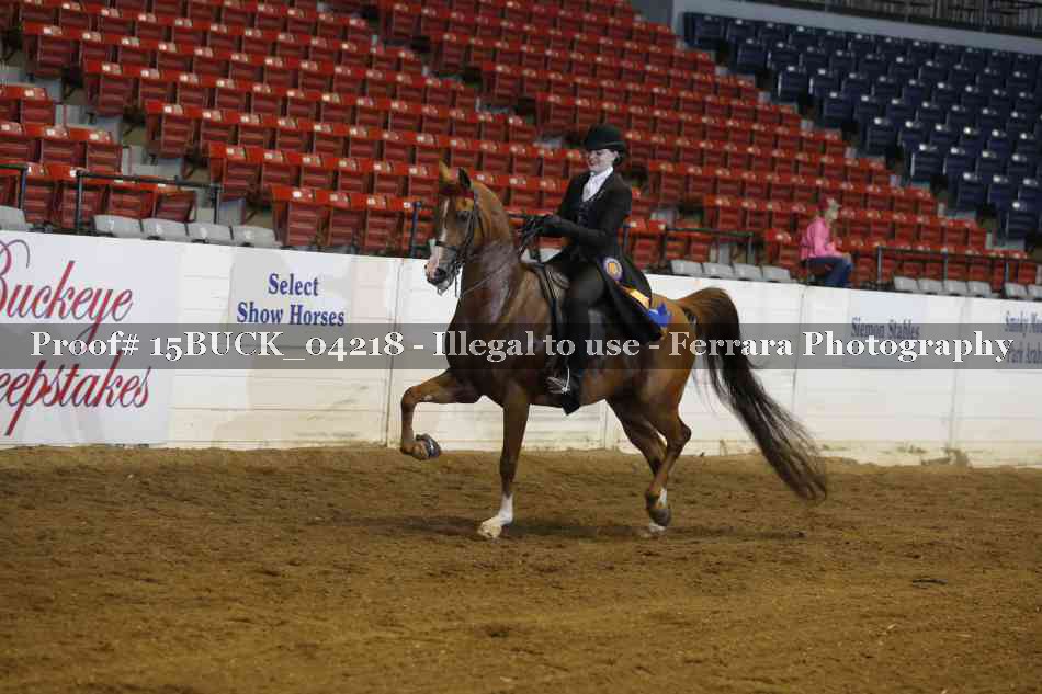 Proof 15BUCK_04218