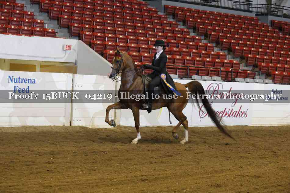 Proof 15BUCK_04219