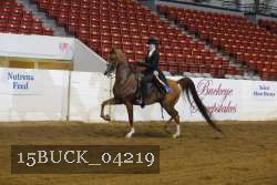 15BUCK_04219 proof