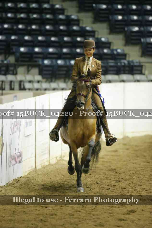 Proof 15BUCK_04220