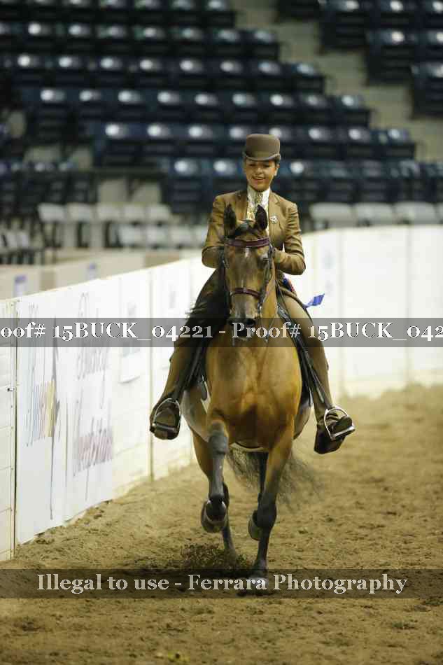 Proof 15BUCK_04221